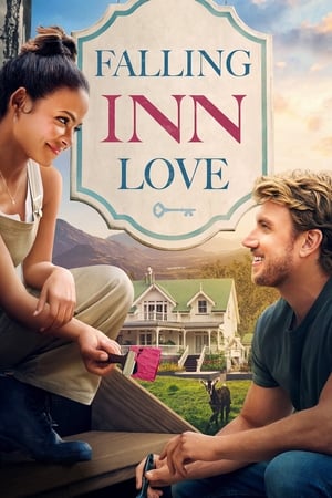 Falling Inn Love (2019) Hindi Dual Audio [900MB]
