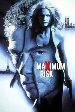 Maximum Risk (1996) Hindi Dual Audio [850MB]