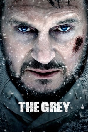 The Grey 2011 Hindi Dual Audio [830MB]