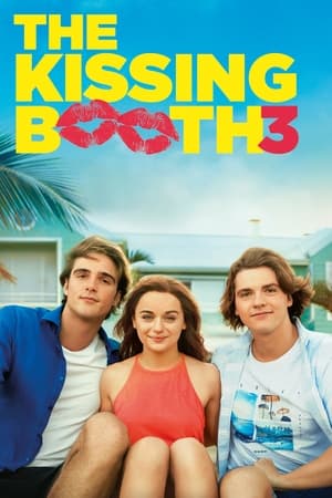 The Kissing Booth 3 2021 Hindi Dual Audio 350MB