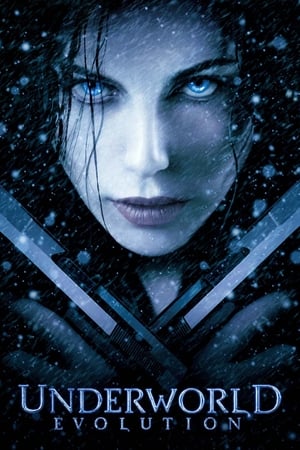 Underworld Evolution (2006) 100mb Hindi Dual Audio movie Download