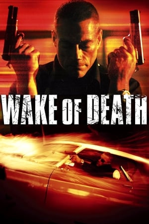 Wake of Death 2004 Hindi Dual Audio 300MB